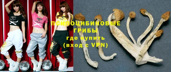 гидра Абдулино