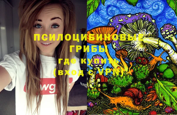 дживик Абинск