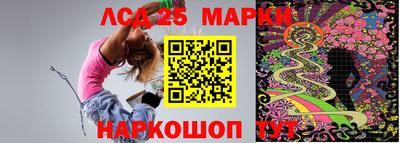 apvp Гатчина