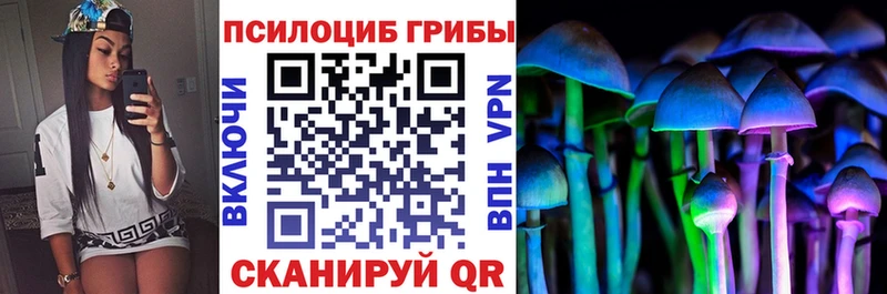 Галлюциногенные грибы MAGIC MUSHROOMS  где найти   KRAKEN как войти  Димитровград 