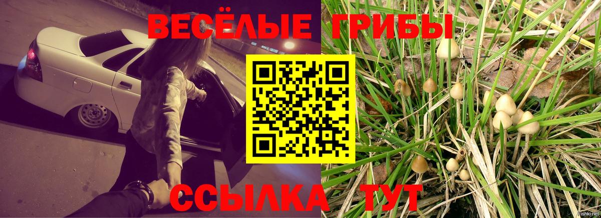 Галлюциногенные грибы прущие грибы Димитровград